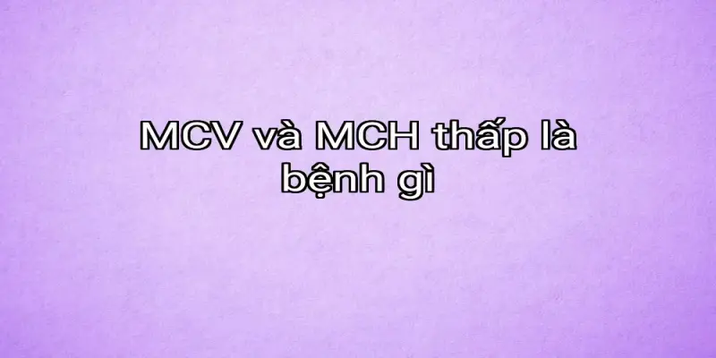 MCV và MCH thấp là bệnh gì