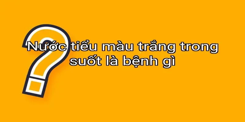 Nước tiểu màu trắng trong suốt là bệnh gì