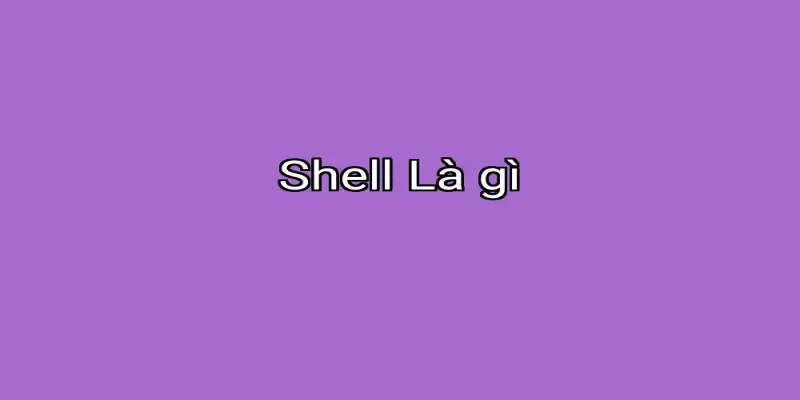 Shell Là gì