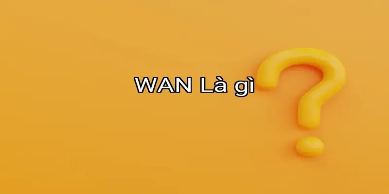 WAN Là gì