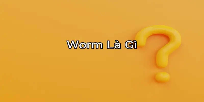 Worm Là Gì