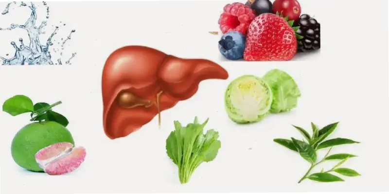 Top Thực Phẩm Cho Người Bị Viêm Gan Siêu Vi C – Khám Phá Ngay!