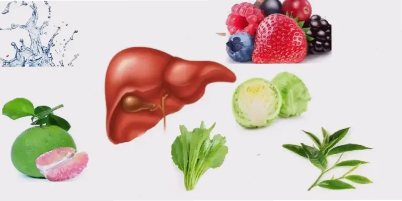 Thực phẩm tốt nhất cho viêm gan C mãn tính – Khám phá ngay!