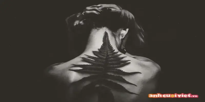 Khám Phá Avatar Bóng Tối Cá Tính, Độc Nhất Và Hấp Dẫn!