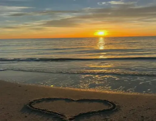 Khám Phá Avatar Hoàng Hôn Đẹp, Độc Nhất, Hấp Dẫn Và Thôi Thúc Nhấp Chuột.