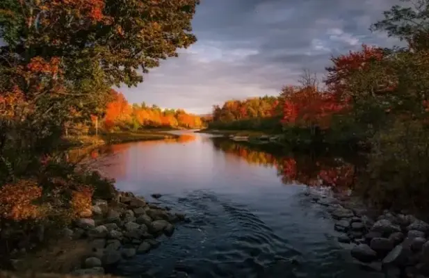 Khám Phá Avatar Phong Cảnh Mùa Thu Độc Đáo, Hấp Dẫn Và Thôi Thúc Nhấp!