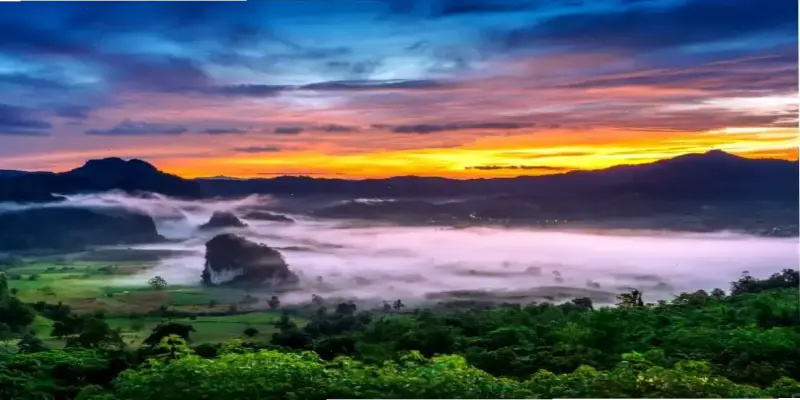 Khám Phá Avatar Rừng Aesthetic Độc Đáo Và Hấp Dẫn!