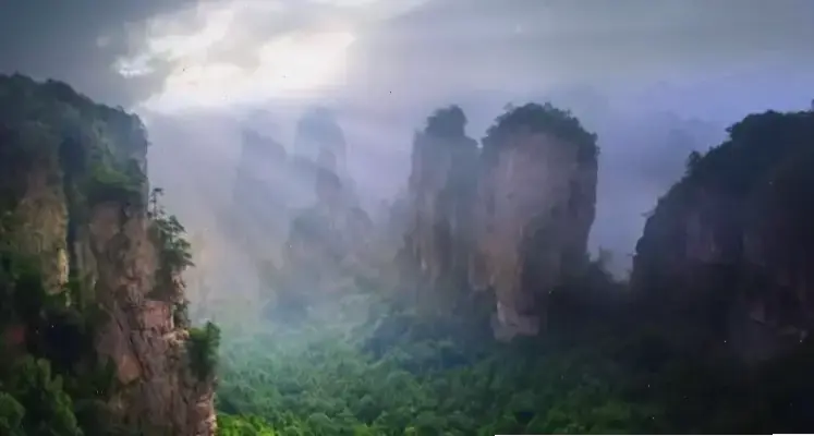 Tham Gia Hành Trình Khám Phá Rừng Thiên Nhiên Độc Đáo