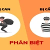 Bị cáo là gì? Quyền và nghĩa vụ của người bị truy cứu trách nhiệm hình sự