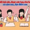 Bí quyết viết đoạn văn nêu tình cảm cảm xúc lớp 3 và các cấp học