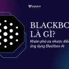 Blackbox AI: Công cụ lập trình AI toàn diện cho năm 2026