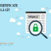 Cert là gì? Phân tích chi tiết các định nghĩa và ứng dụng thực tế 2026