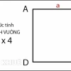 Chu vi hình vuông: Công thức, bài tập và ứng dụng thực tế