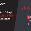 CSS Selector: Hướng dẫn chi tiết và phân loại từ A-Z (2026)