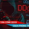 DDoS là gì? Tìm hiểu chi tiết về các cuộc tấn công DDoS