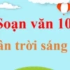 Giải Ngữ Văn 10 Chân Trời Sáng Tạo: Hướng Dẫn Chi Tiết Từ A-Z