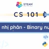 Hệ Nhị Phân Giải Mã Thế Giới Số: Khám Phá Cơ Bản và Ứng Dụng