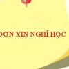 Hướng dẫn chi tiết cách viết đơn xin nghỉ học chuẩn năm 2026