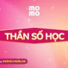 Khám phá bản thân với xem thần số học online năm 2026