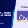 Khám phá Thuộc tính CSS Overflow: Quản lý Nội dung Tràn Hiệu Quả