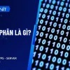Mã Nhị Phân Là Gì? Khám Phá Công Cụ Chuyển Đổi Văn Bản Sang Nhị Phân