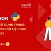 Phân tích dữ liệu với Python: Khóa học và Thư viện cốt lõi