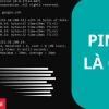 Ping là gì? Hướng dẫn kiểm tra và khắc phục tốc độ Ping hiệu quả