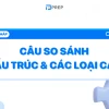 So sánh chi tiết các cấu trúc câu và lưu ý quan trọng trong tiếng Anh 2026