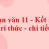 Soạn Văn 11: Hướng dẫn chi tiết soạn bài Văn học Kết nối Tri thức 2026