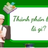 Thành Phần Biệt Lập Là Gì? Hướng Dẫn Nhận Biết Và Ví Dụ Minh Họa Chi Tiết