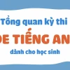Tổng quan kỳ thi IOE tiếng Anh: Cấu trúc đề và các dạng bài cần biết