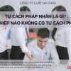 Tư cách pháp nhân là gì? Điều kiện, phân loại và các tổ chức có liên quan