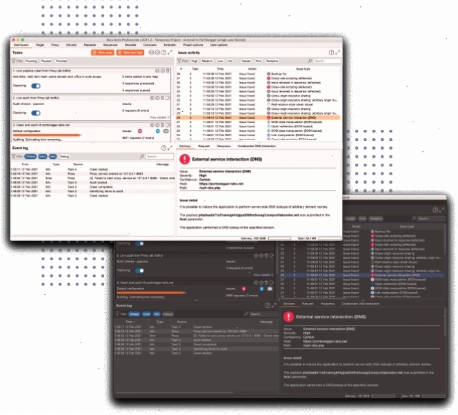 Bảng điều khiển Burp Suite Professional