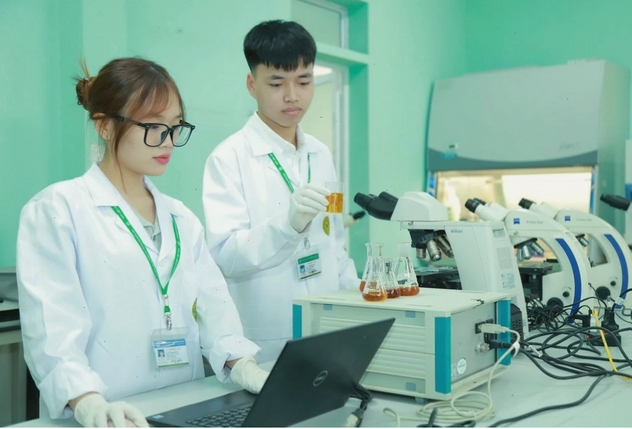Biểu đồ minh họa điểm chuẩn tuyển sinh Học viện Nông nghiệp Việt Nam năm 2025