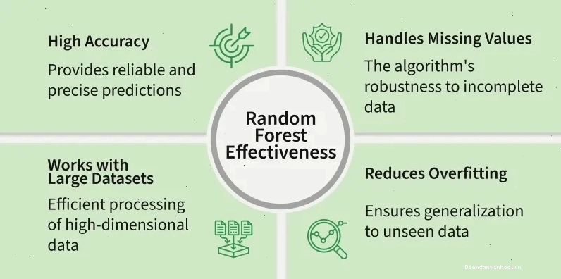 Biểu đồ minh họa hiệu quả của Random Forest