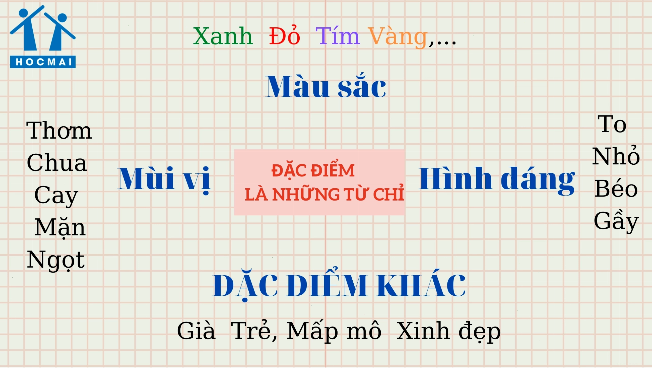 Biểu đồ phân tích các loại đặc điểm của từ ngữ