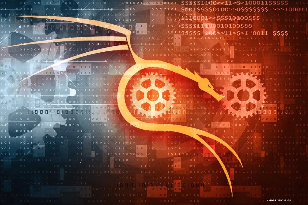 Các công cụ trên Kali Linux