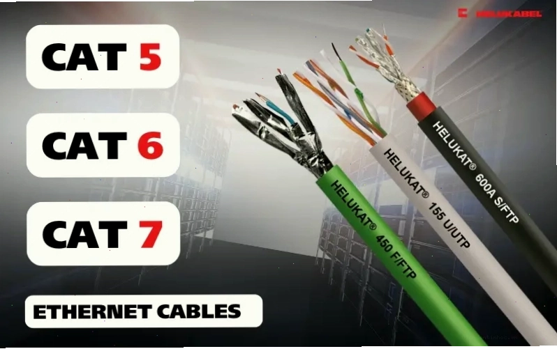 Các loại cáp mạng Ethernet Cat5, Cat6, Cat7