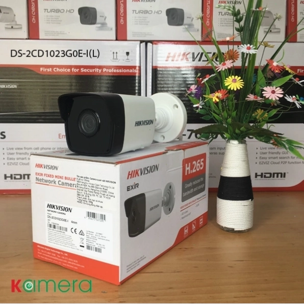 Camera IP Hikvision mẫu DS-2CD1023G0E-I Lắp đặt cho gia đình