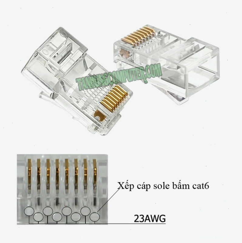 Cận cảnh cấu tạo hạt mạng RJ45 Cat6 với các chân tiếp xúc mạ vàng