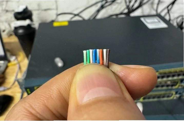 Cắt bằng các sợi dây và chuẩn bị bấm hạt mạng RJ45