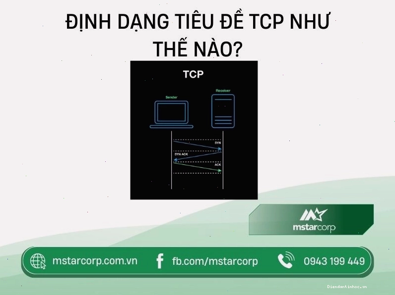Cấu trúc chi tiết của TCP Header và các trường quan trọng