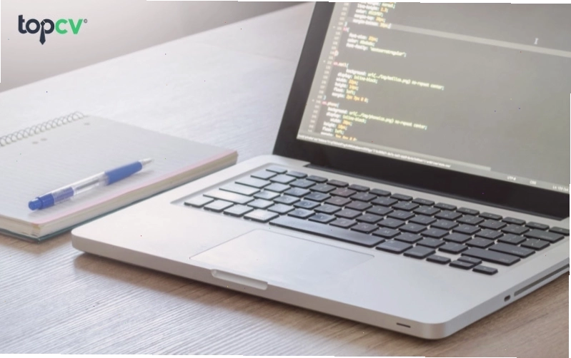 Chế độ hàng loạt phù hợp với việc viết và lưu trữ code lớn trong chương trình máy tính