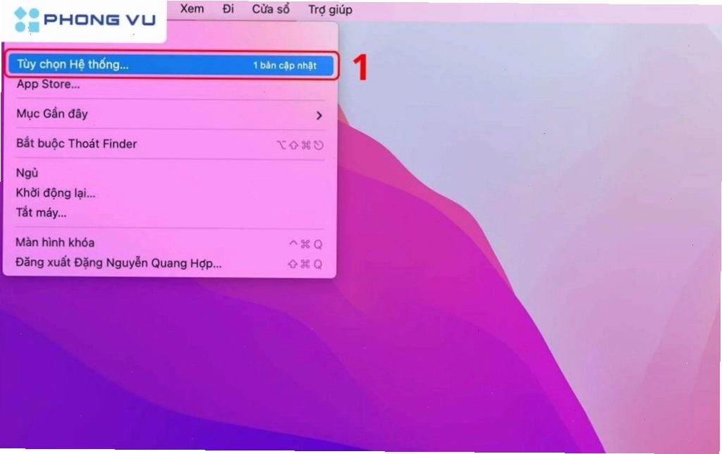 Chọn System Preferences (Tùy chọn hệ thống)