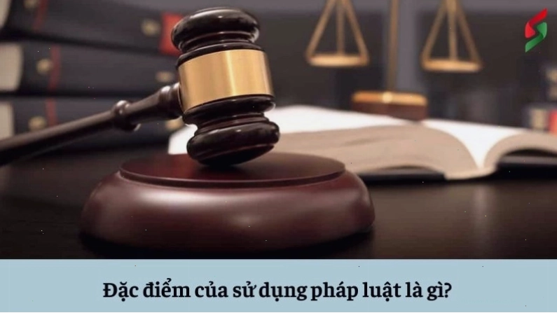Đặc điểm của việc thi hành pháp luật