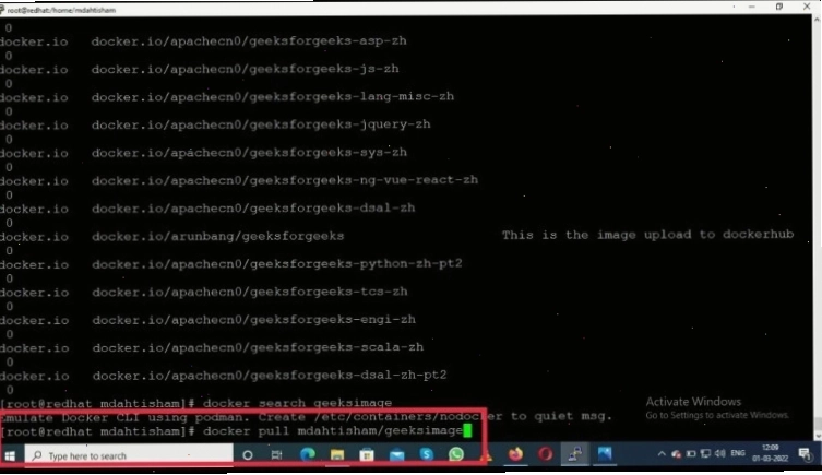 Docker pull command example