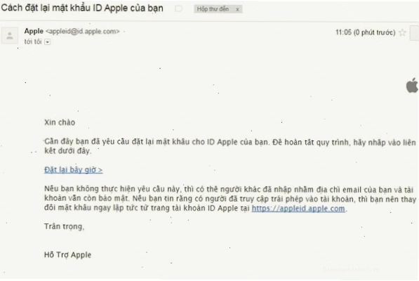 Email hướng dẫn đặt lại mật khẩu Apple ID