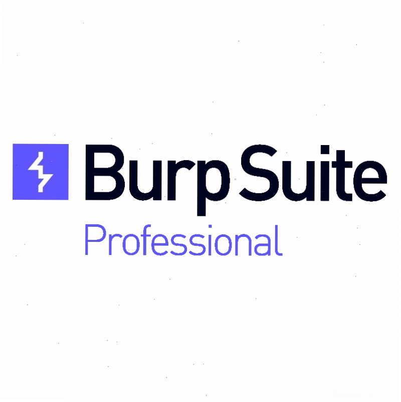 Giao diện Burp Suite Professional