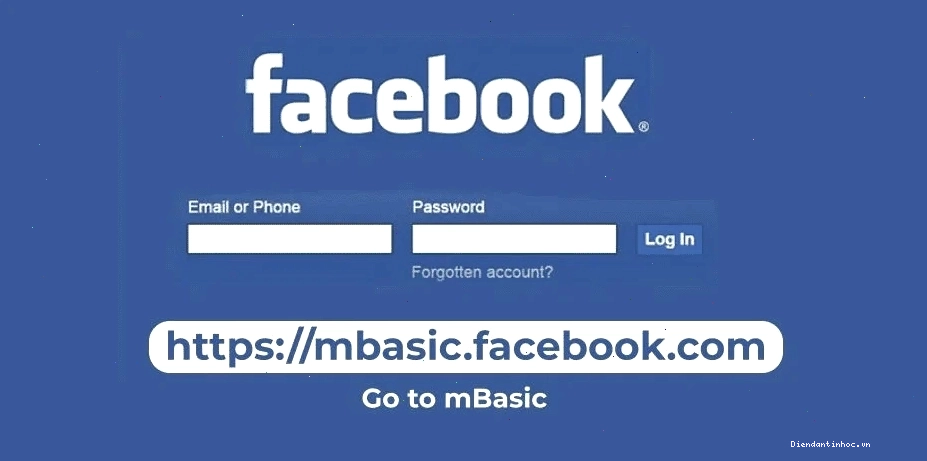 Giao diện công cụ tải video Facebook với ô nhập liên kết