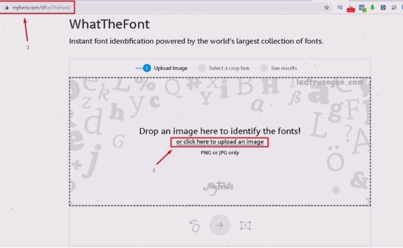 Giao diện công cụ WhatTheFont để tìm font chữ bằng hình ảnh